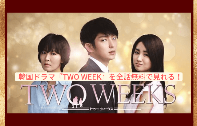 韓国ドラマ Two Weeks イ ジュンギ 動画を無料視聴 Youtube パンドラ デイリーやネットフリックスでも見れる 三浦春馬主演で日本でも ドラマ化された人気作