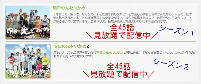 明日の光をつかめ 広瀬アリス 動画を無料視聴 Youtube パンドラ デイリーやネットフリックスでも見れる 10年昼ドラ 同枠主演女優で史上最年少